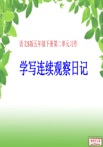 连续观察日记课件