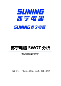 苏宁电器SWOT分析市场营销案例分析(DOC 37页)