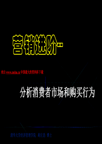 营销进阶--分析消费者市场和购买行为（PPT 72页） 