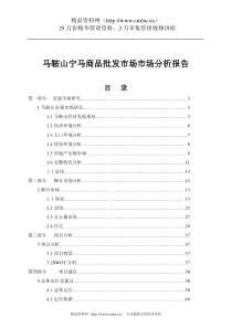 马鞍山宁马商品批发市场市场分析报告