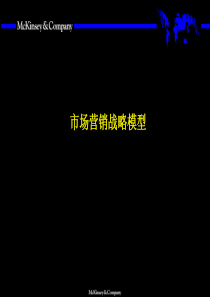 麦肯锡市场营销战略全套分析模型