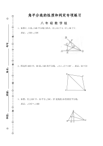 角平分线的性质和判定----专项练习