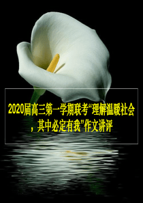 2020届高三第一学期广东省联考“理解温暖社会-其中必定有我”作文讲评(课件48张)