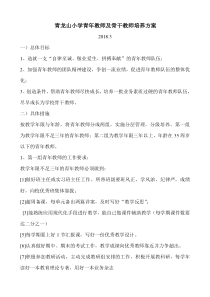 青年教师及骨干教师培养方案