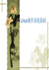 【精品】UbuntuLinux操作系统基础