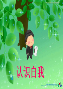 心理健康教案----认识自我