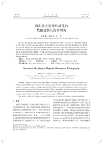 面向磁共振弹性成像的数值建模与仿真研究