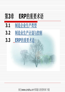 [E化资料]ERP的重要术语(ppt 53页)