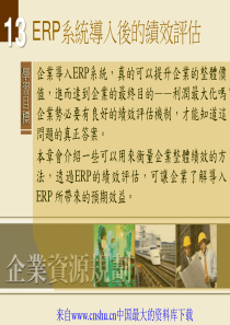 [人力资源]ERP系统导入后的绩效评估(ppt 33页)