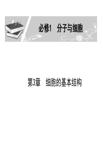 人教版教学课件2011届生物高考一轮复习课件：必修1-第3章-第3节-细胞核—系统的控制中心ppt