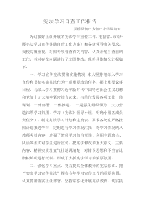 宪法学习报告