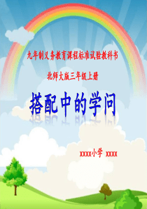 《搭配中的学问》说课PPT