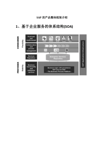 SAP的产品整体框架介绍（DOC38页）