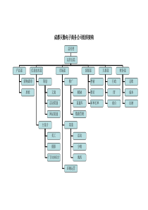 电子商务公司运营公司组织架构图