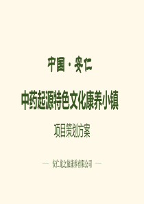 中药起源特色文化康养小镇策划方案