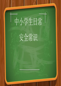 中小学日常安全教育PPT