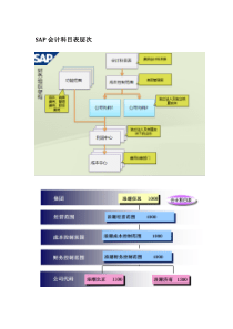 SAP科目表详解