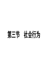 八年级生物上册《社会行为》课件-新人教版