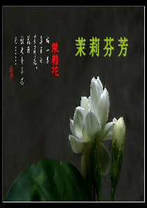 六年级上册音乐课件-茉莉花(江苏民歌)---(4)｜人音版(简谱)(2014秋)