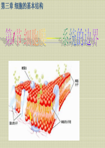 高一生物必修一《细胞膜——系统的边界》