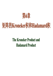 第6章-矩阵的Kronecker积与Hadmard积