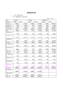 财务报表分析报告(案例分析)