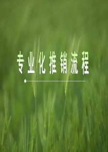 专业化推销流程A