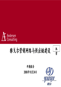 15雅戈尔营销网络建设咨询报告(安大信)