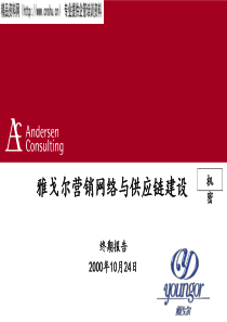 XX营销网络建设咨询报告