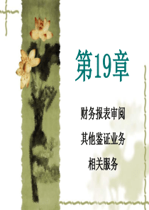 19审阅-其他鉴证-服务