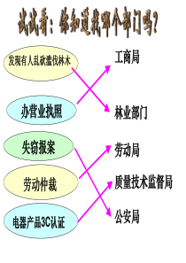 2014政府的职能管理与服务