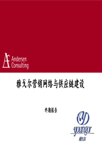 安盛-雅戈尔-营销网络与供应链建设报告