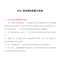 DNS 服务器的配置与管理