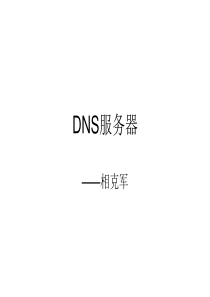 DNS服务器