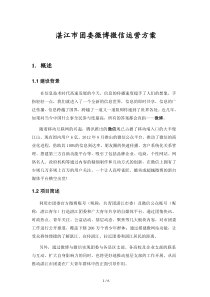 湛江市团委微博微信运营方案（DOC6页）