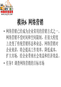 电子商务实务_网络营销