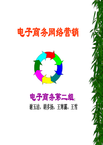 电子商务网络营销-电子商务网络营销