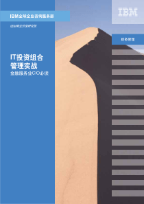 IT投资组合管理实战-金融服务业CIO必读