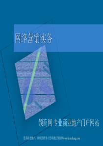 网络营销实务学习资料