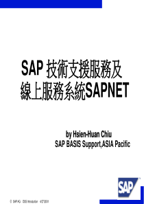 SAP技术支援服务及线上服务系统SAPNET