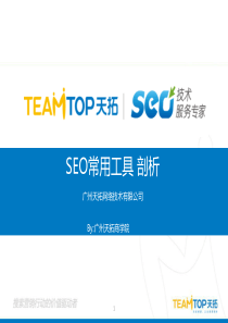 seo常用工具剖析-广州天拓服务