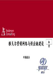 雅戈尔营销网络与供应链建设终期报告（final report）