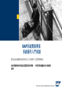 SAP系统实施专案