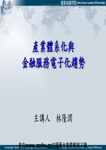 产业体系化与金融服务电子化趋势(ppt104页)