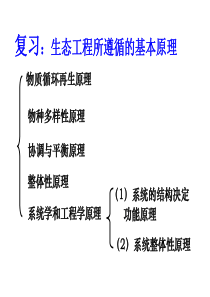 (新编)52生态工程的实例和发展前景