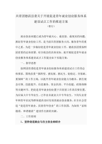 共青团德清县委关于开展促进青年就业创业服务体系建设试点工作的推进