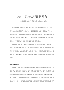 中国COBIT实施案例