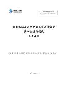 水电站工程质量监督XXXX年工程施工自检报告