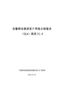 安徽移动集团客户网络分级服务(SLA)规范V10