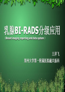 乳腺BI-RADS分级应用